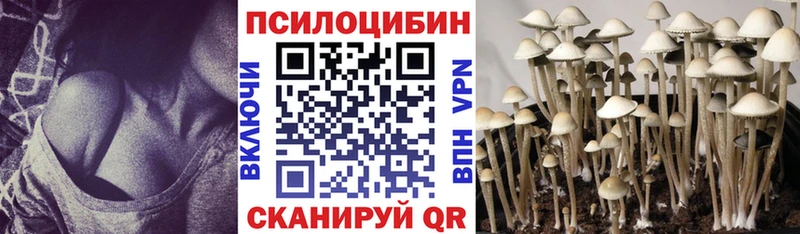 KRAKEN tor  Буй  Галлюциногенные грибы ЛСД 